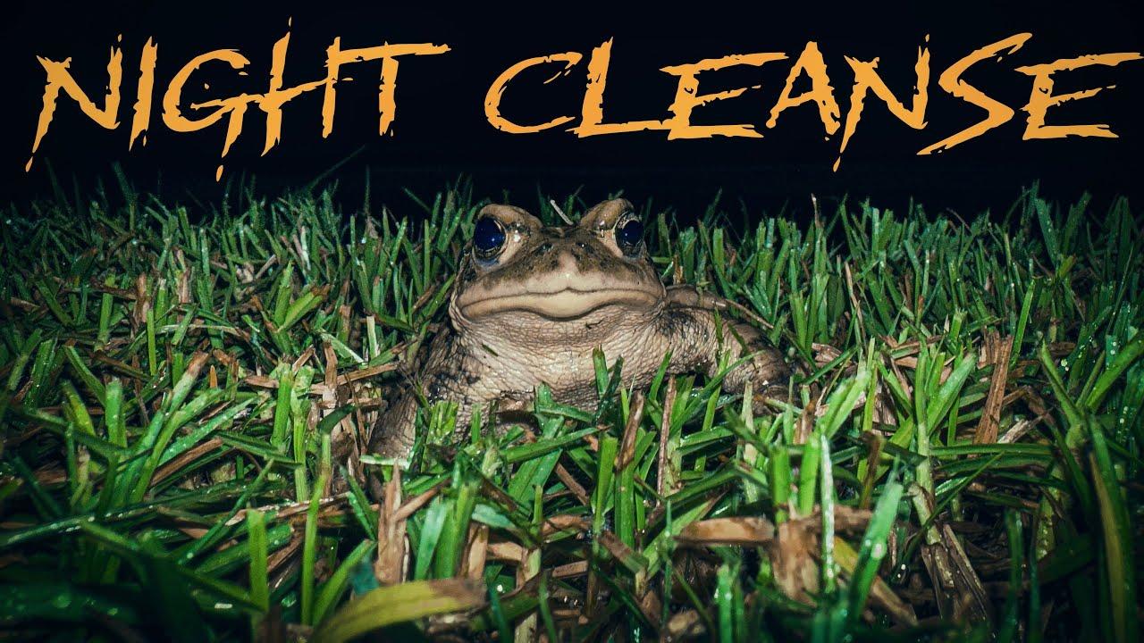 Night Cleanse Trailer