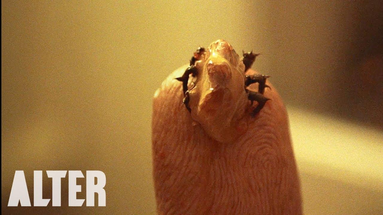 Flick Trailer