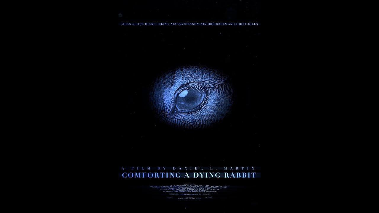 Comforting A Dying Rabbit Trailer