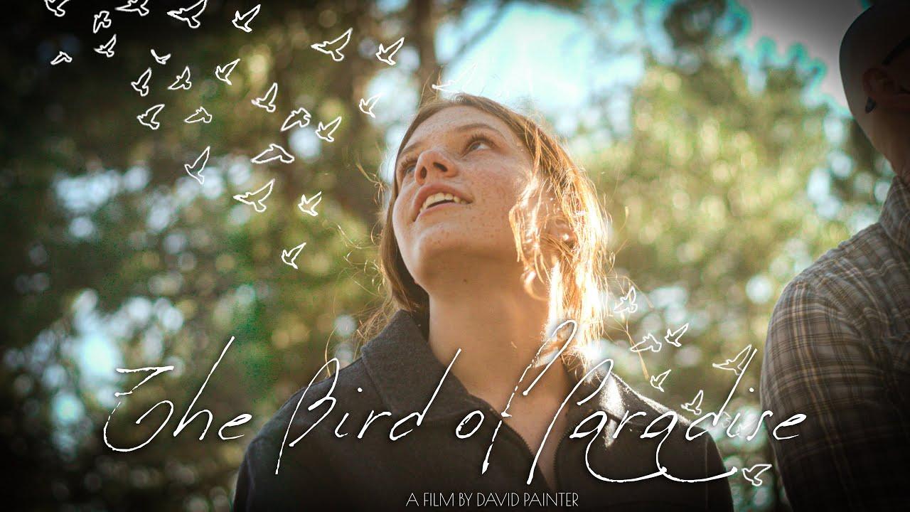 The Bird of Paradise Trailer