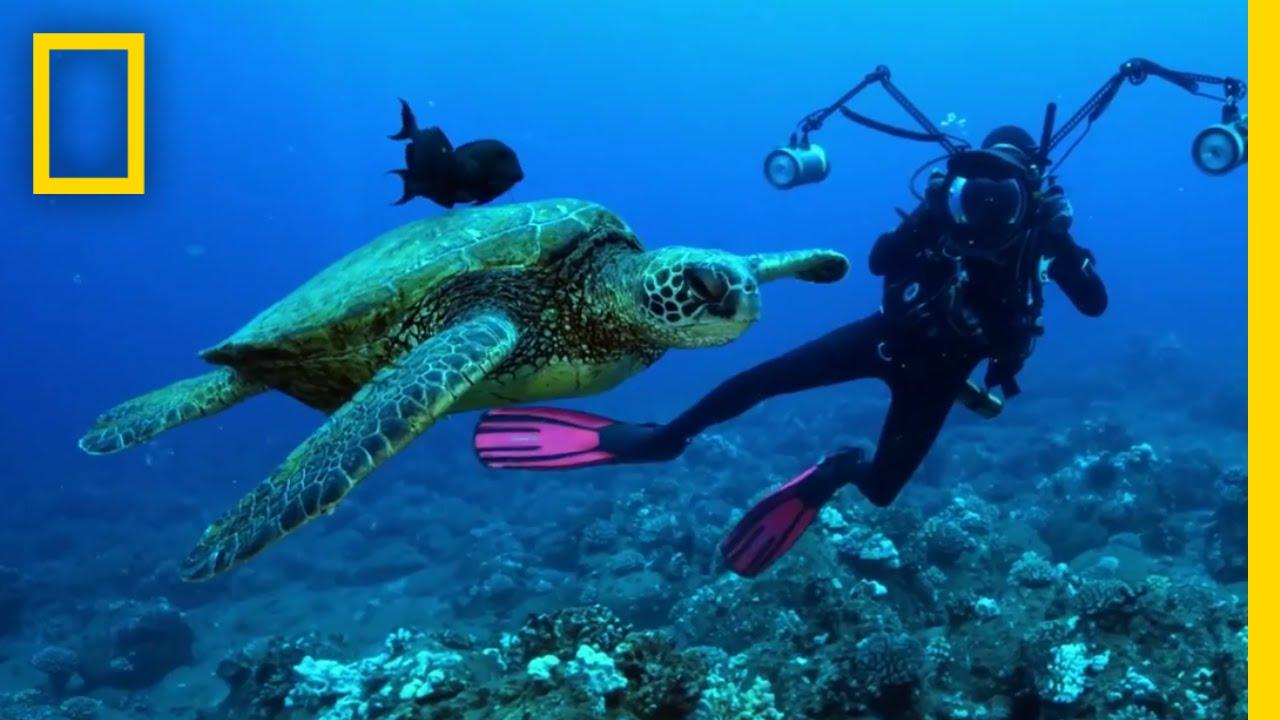 Sea of Hope: America's Underwater Treasures Trailer