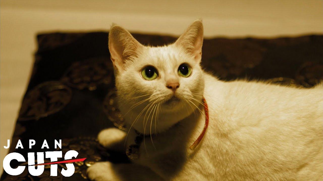 Samurai Cat: The Movie Trailer
