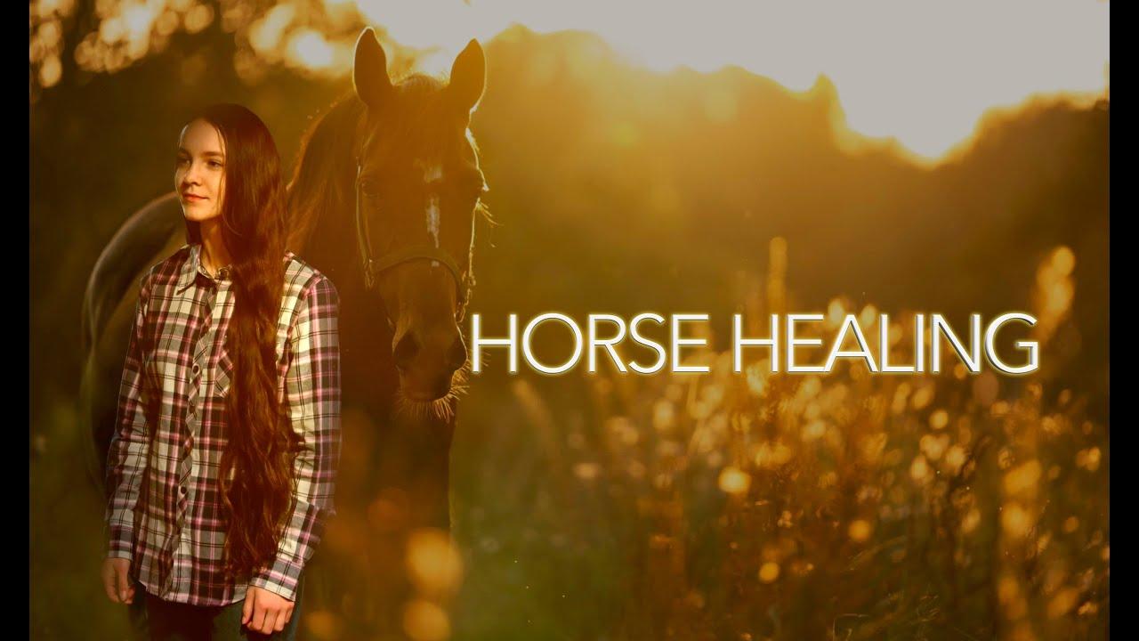 Horse Healing Trailer