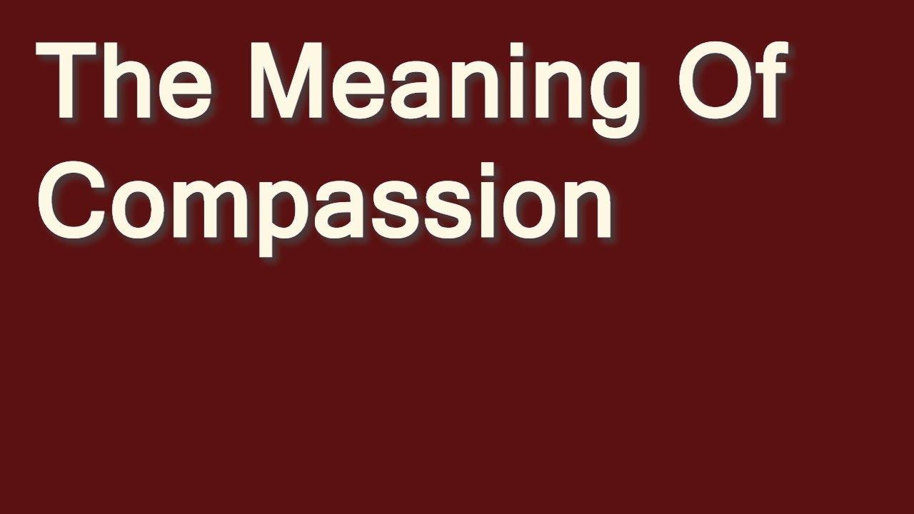 The Meaning of Compassion Trailer