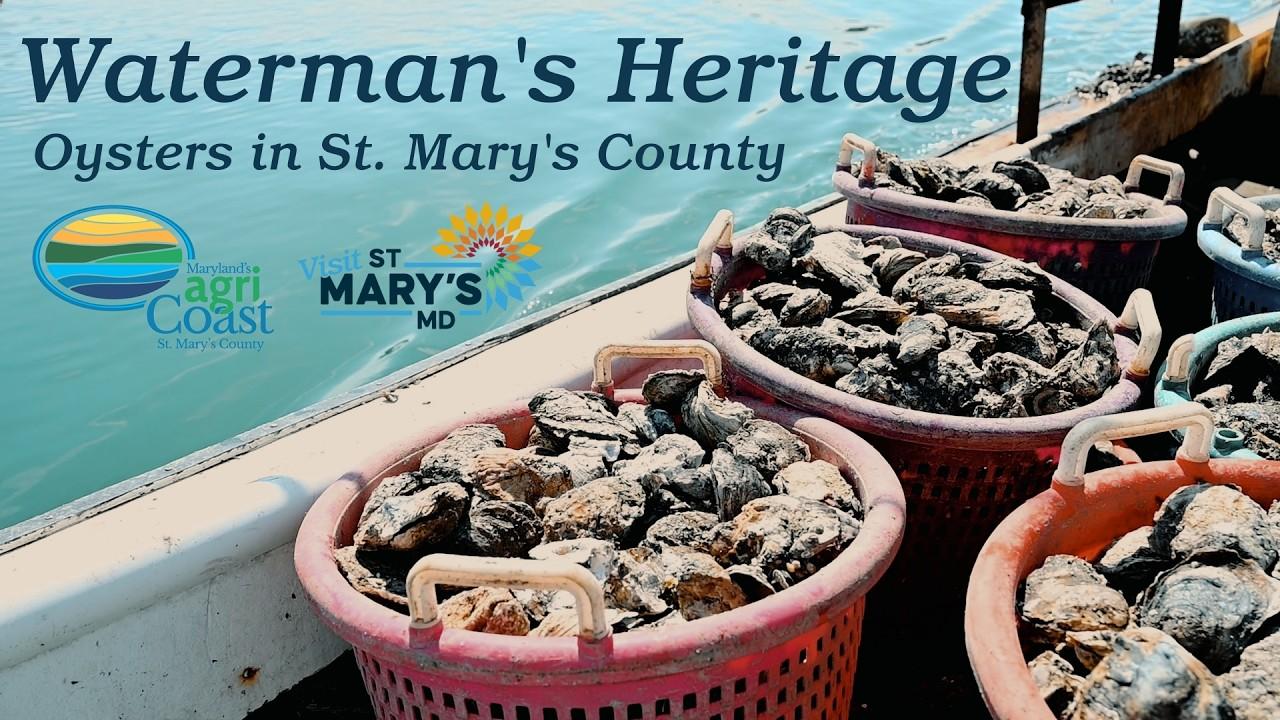 Waterman's Heritage - Oysters in St. Mary's County Trailer