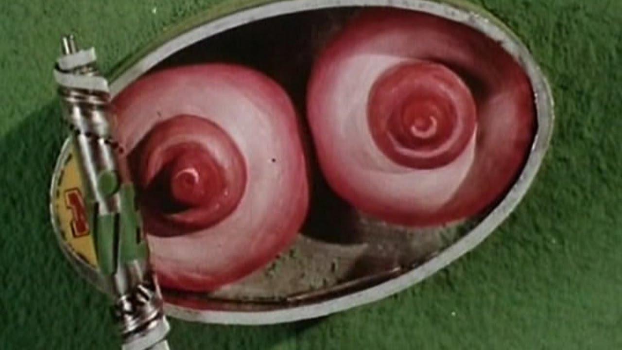 In the Grass Trailer