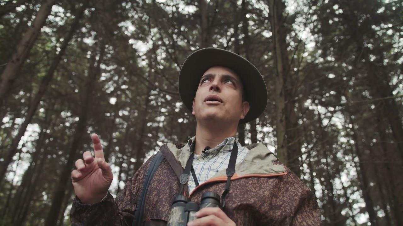 Birder Trailer