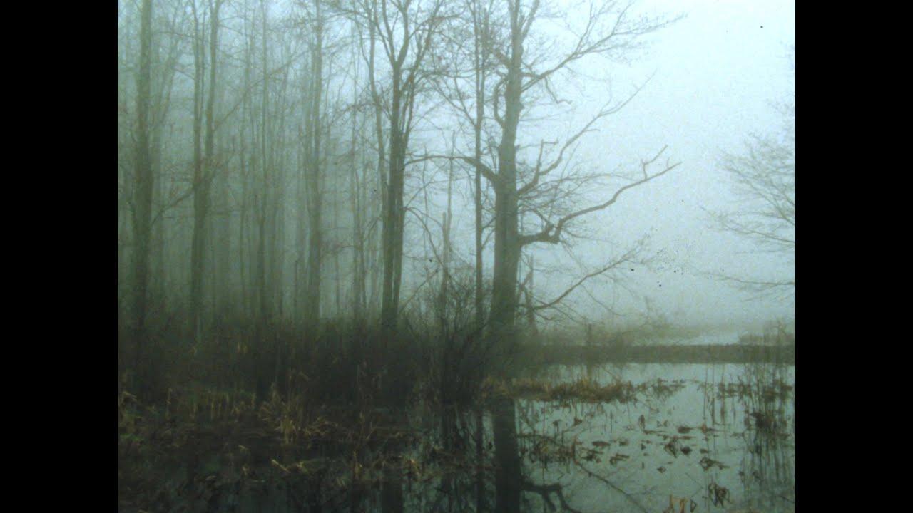 Early Spring Wetlands Trailer