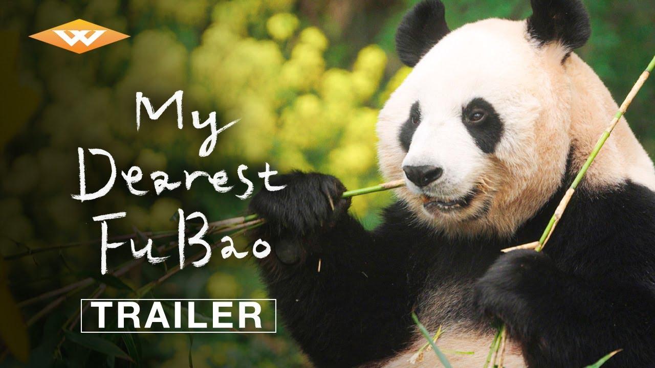 My Dearest Fu Bao Trailer