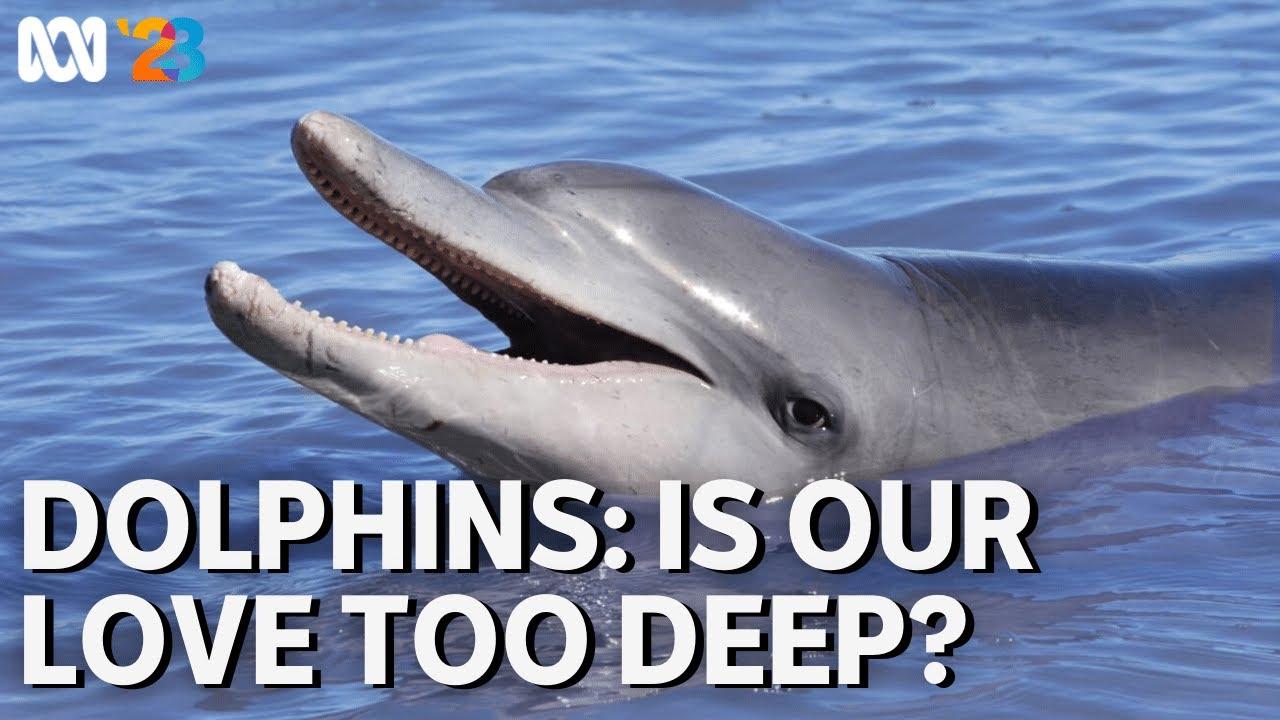 Dolphins: Is Our Love Too Deep? Trailer