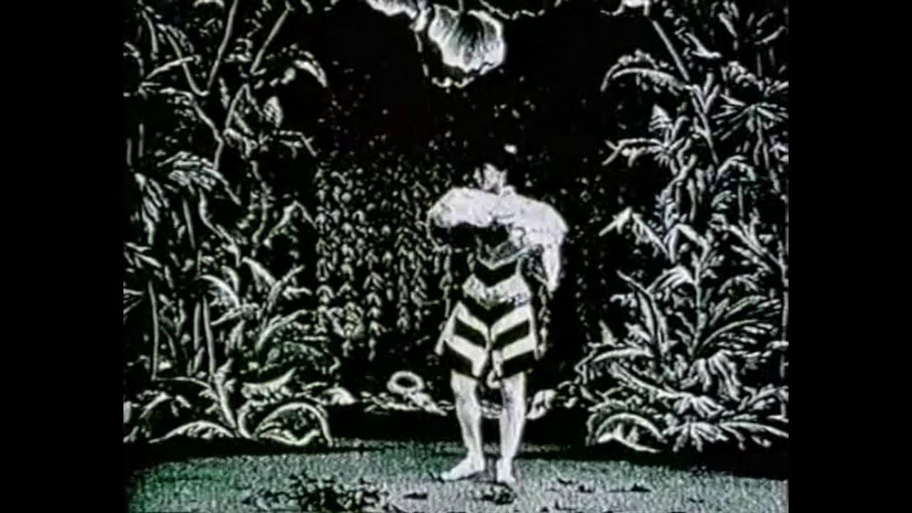 The Bee and the Rose Trailer