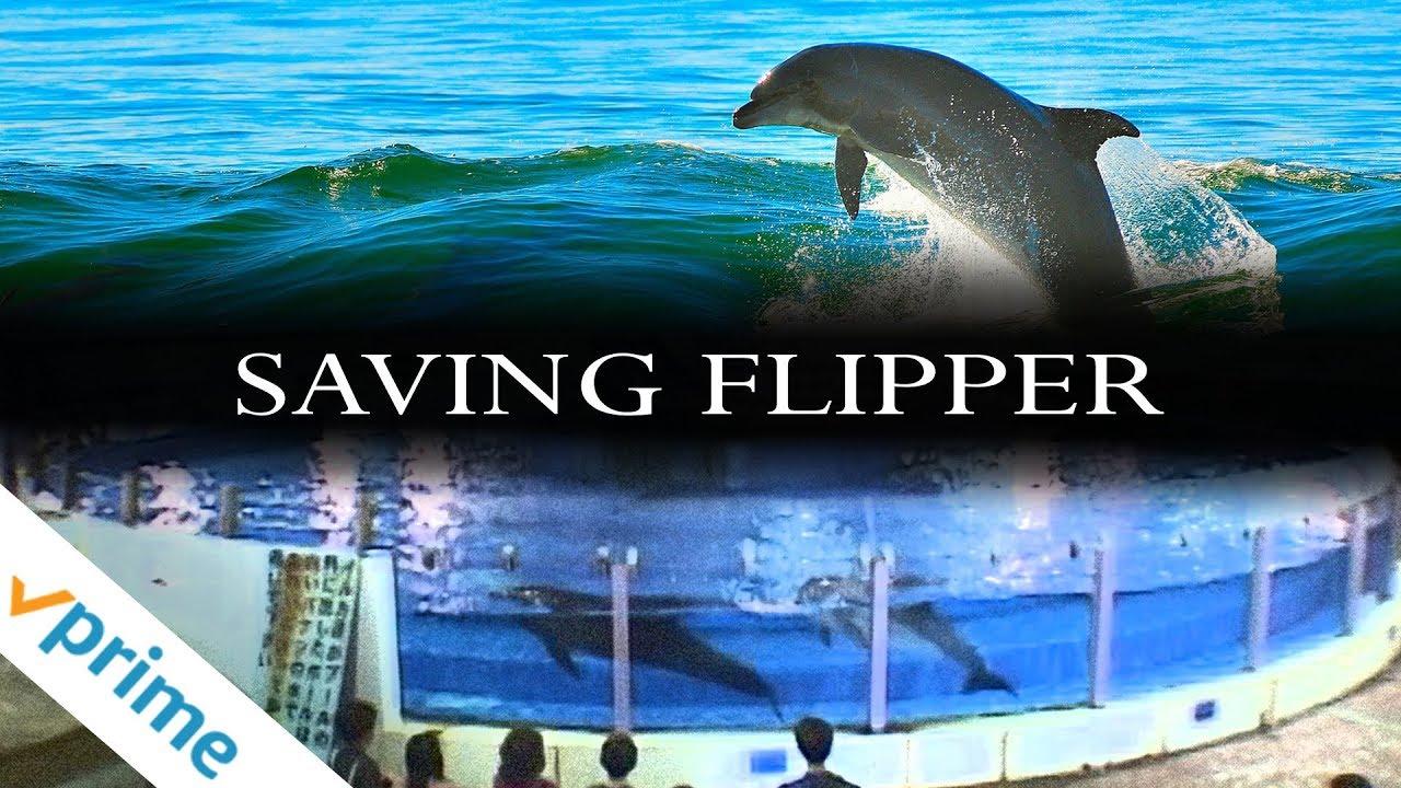 Saving Flipper Trailer