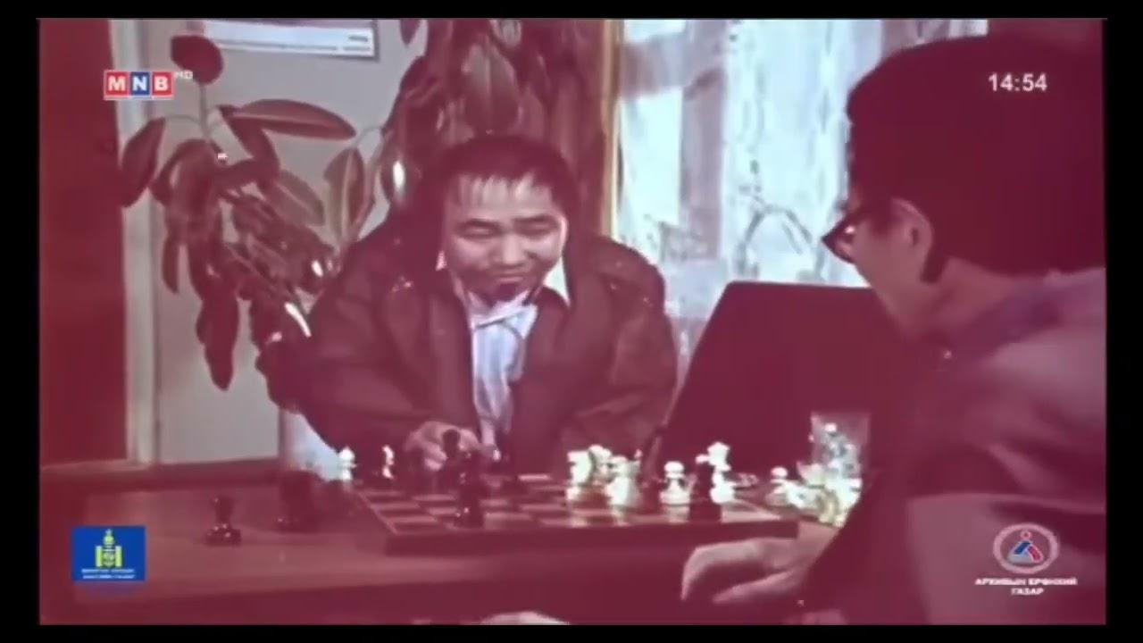Big Family Trailer