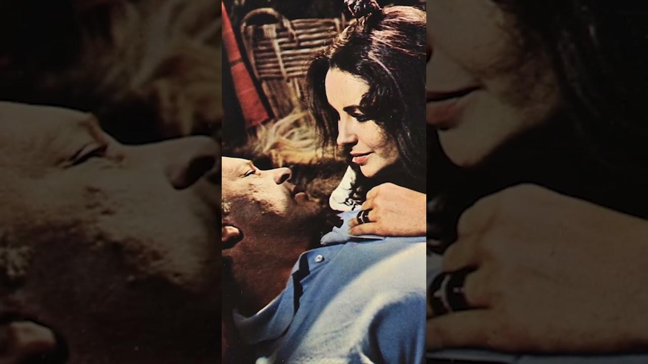 The Sandpiper Trailer