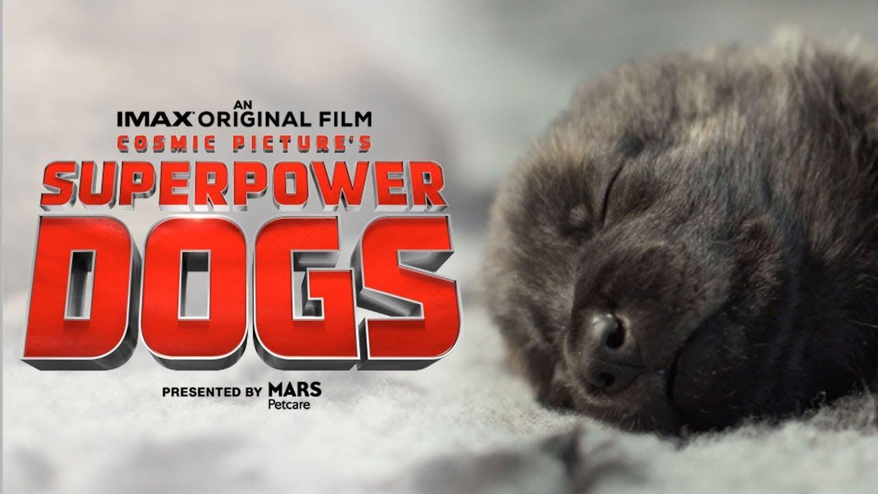Superpower Dogs Trailer
