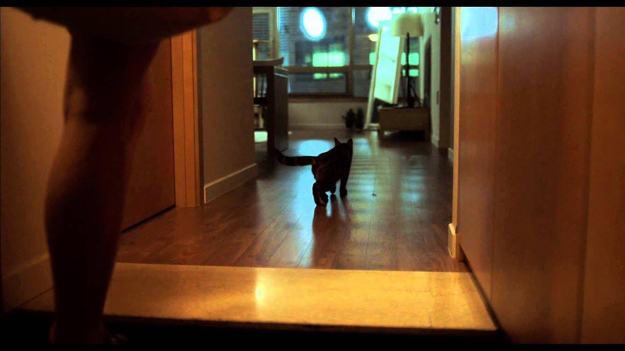 Hot Summer Night Trailer