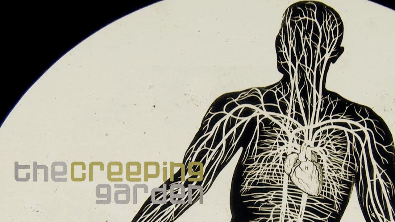 The Creeping Garden Trailer