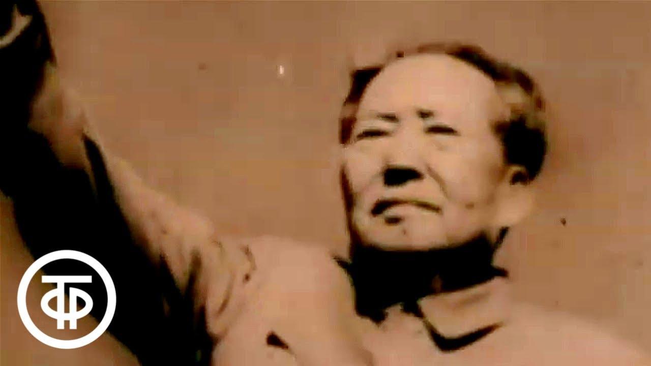 Maoism: A Tragedy for China Trailer