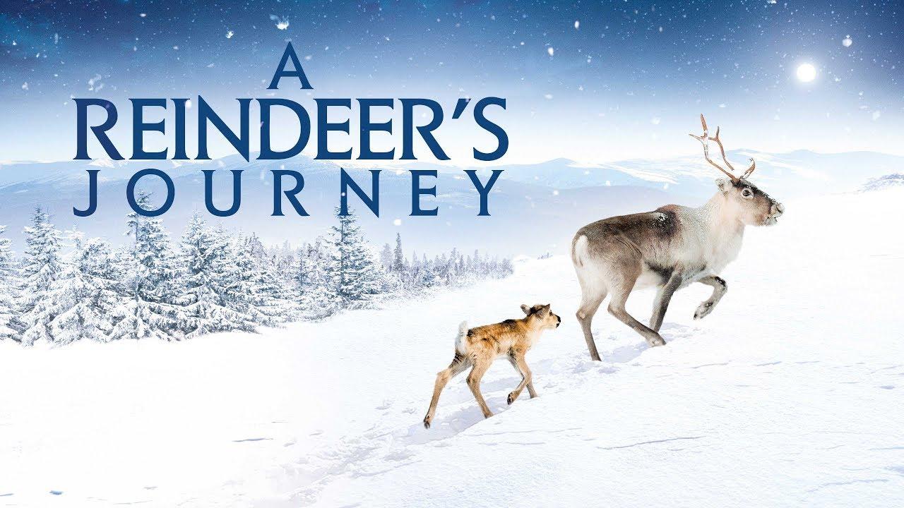 A Reindeer's Journey Trailer