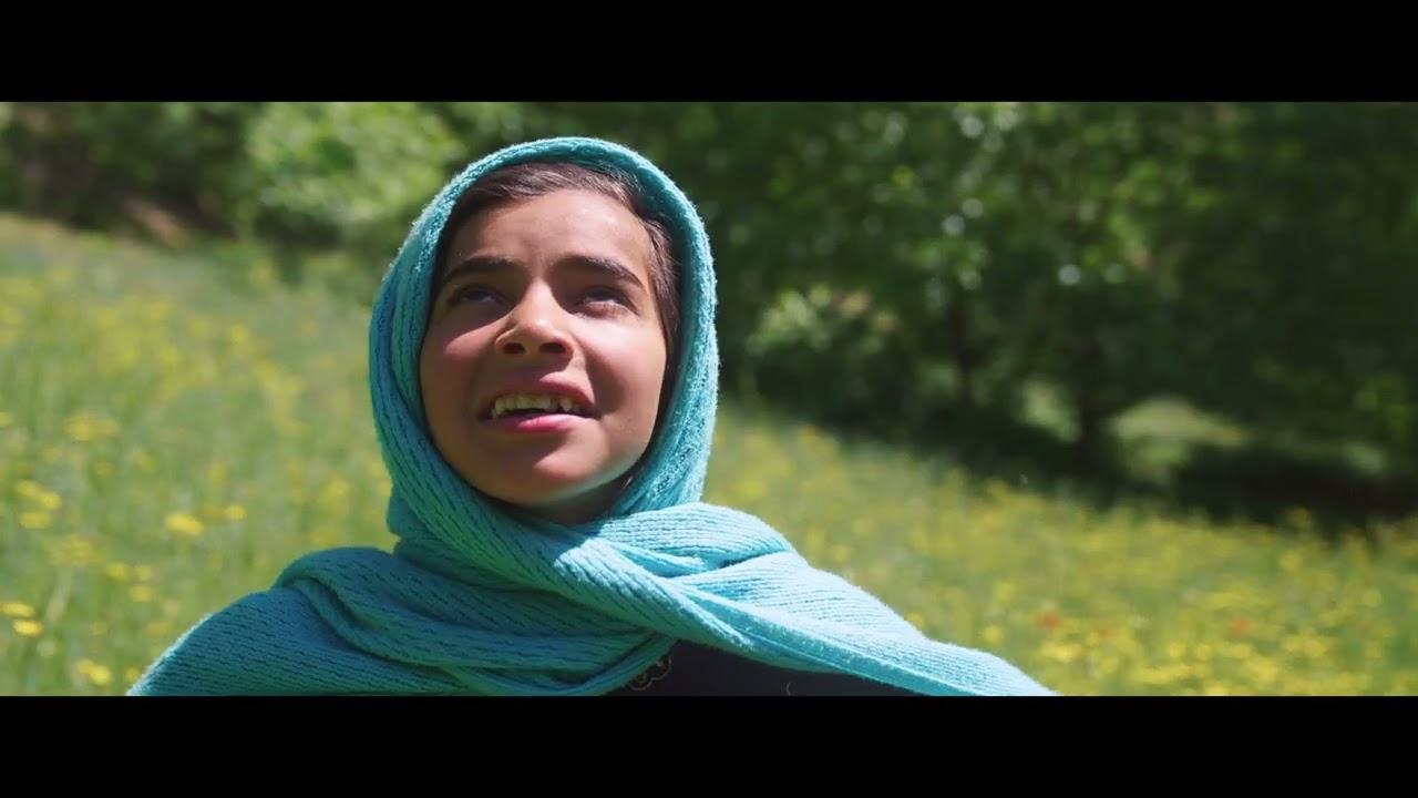 Dreams of the Wild Oaks Trailer
