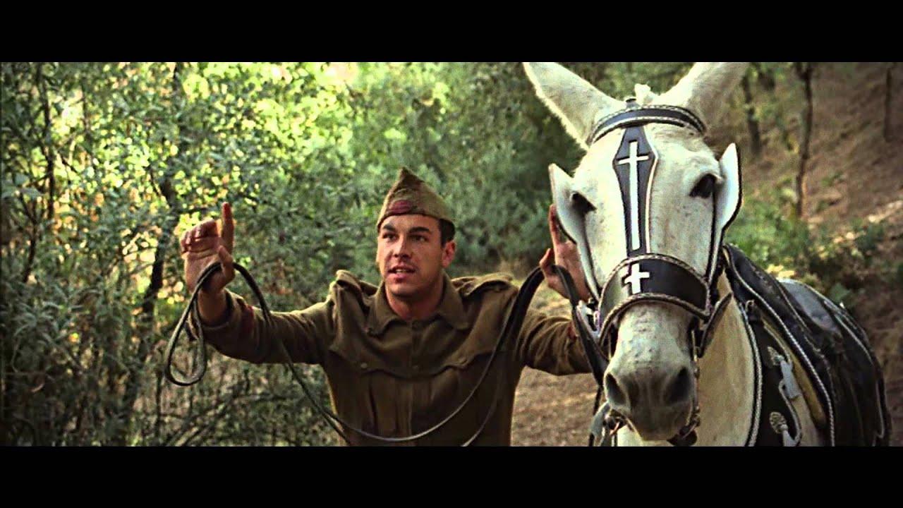The Mule Trailer