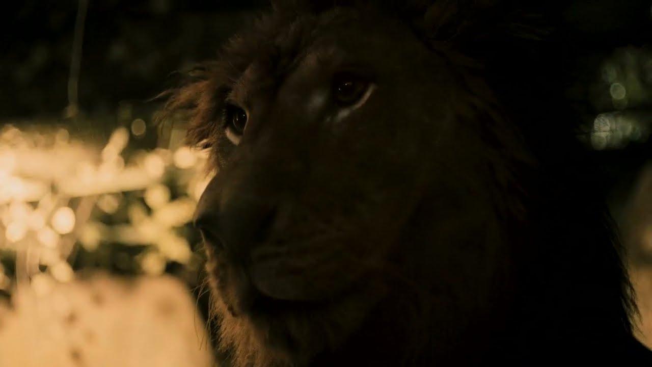 Possibility of Paradise Trailer