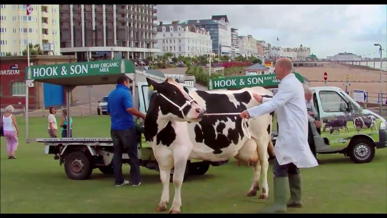 The Moo Man Trailer
