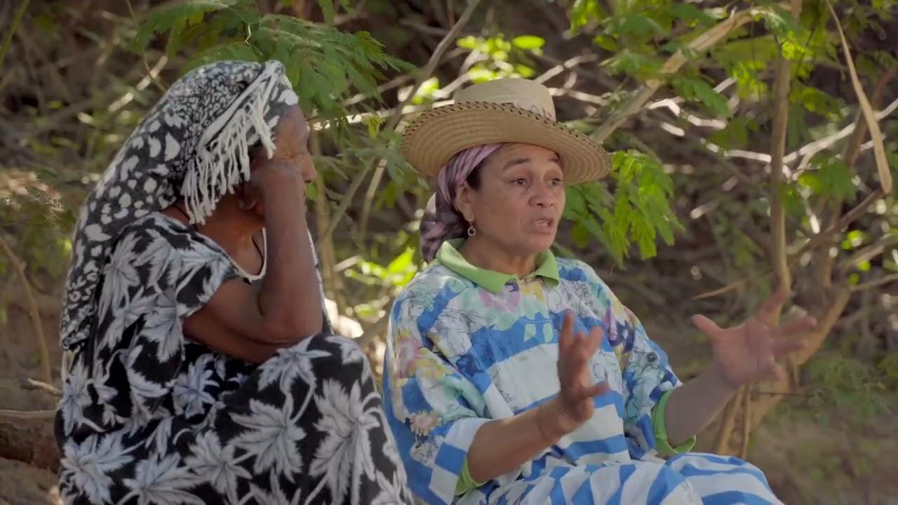 The Territory of Puloui Trailer