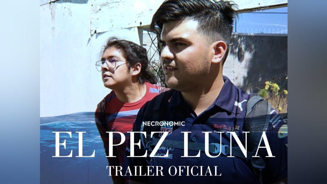 The Sunfish Trailer