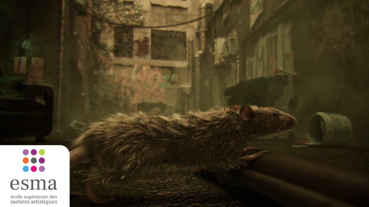 Trash Trailer