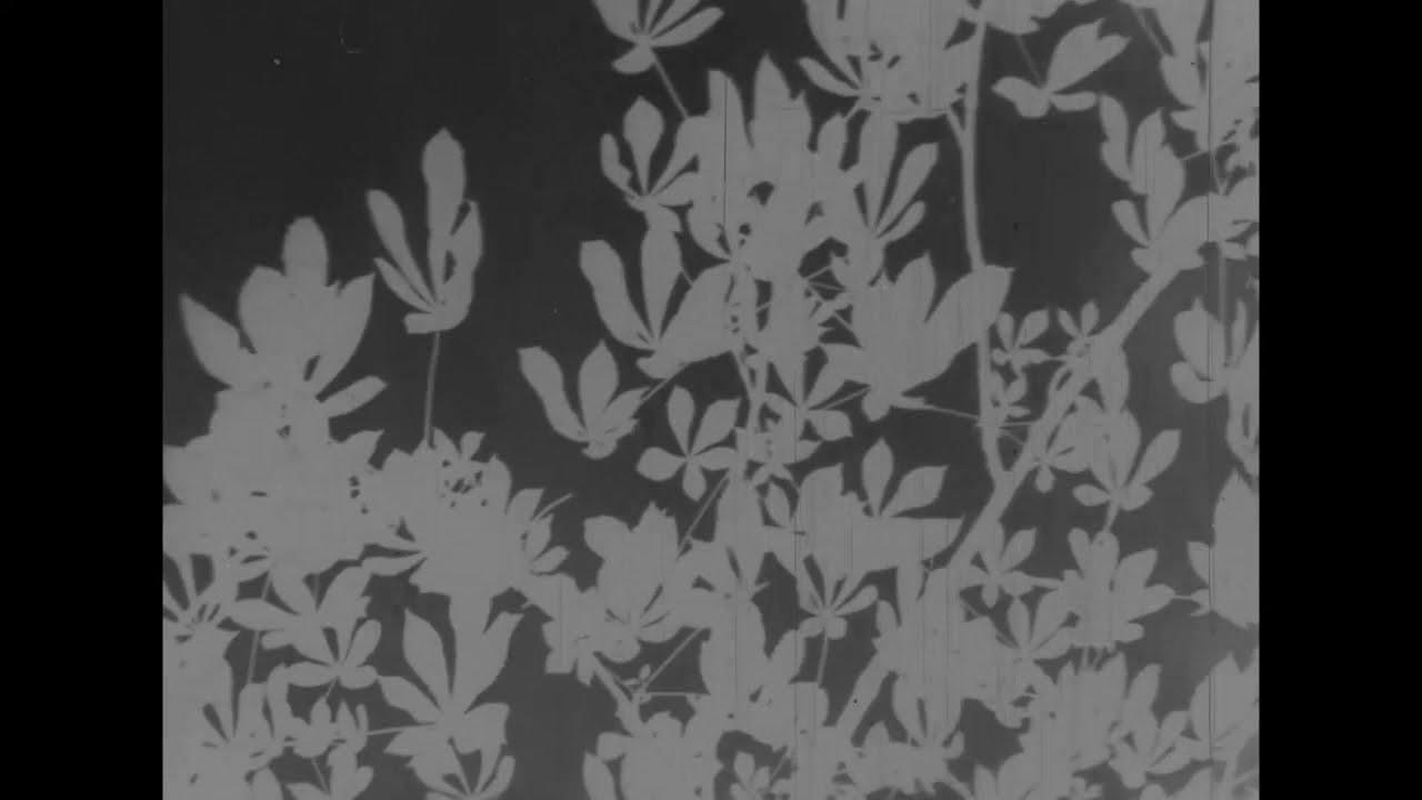 Arborescent Games: Fugue in Minor Trailer