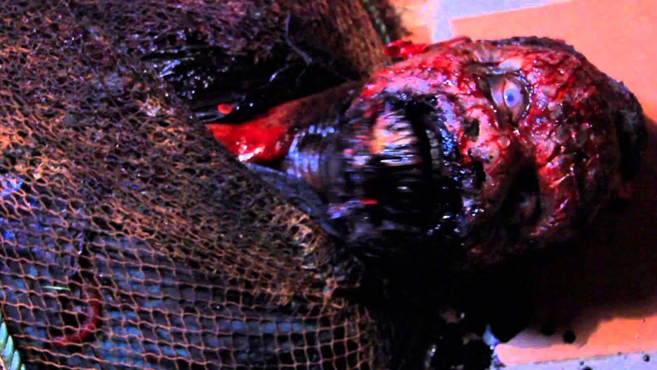 Dark Sea Trailer