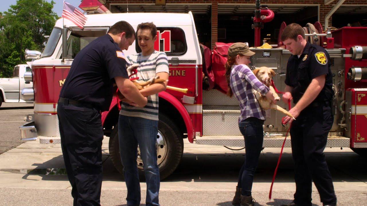 12 Dog Days Till Christmas Trailer