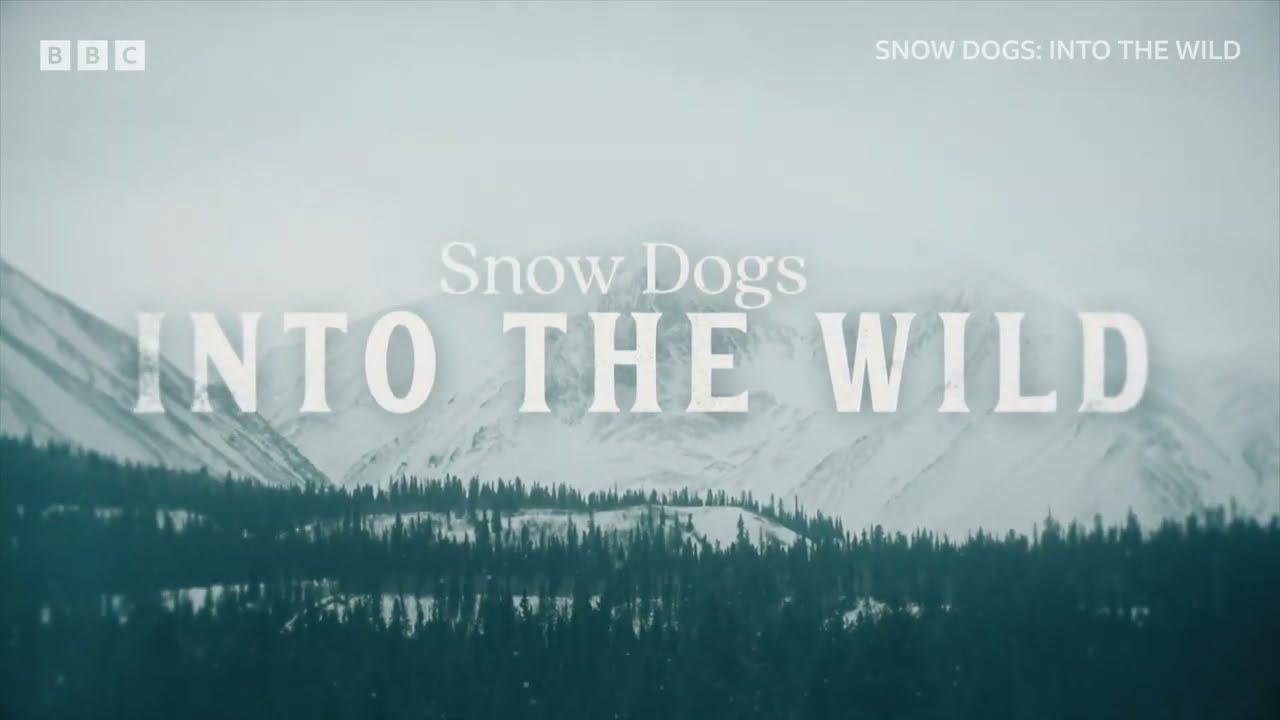 Snow Dogs: Into the Wild Trailer