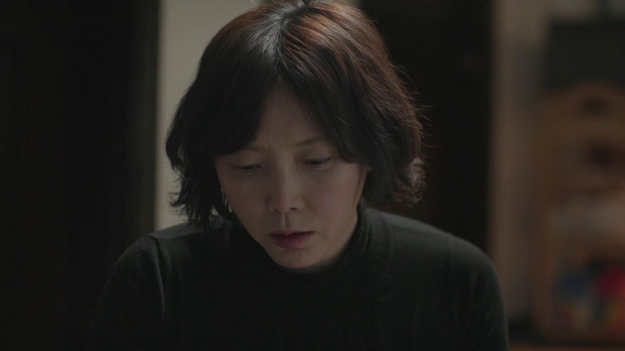 Camellias in Bloom Trailer