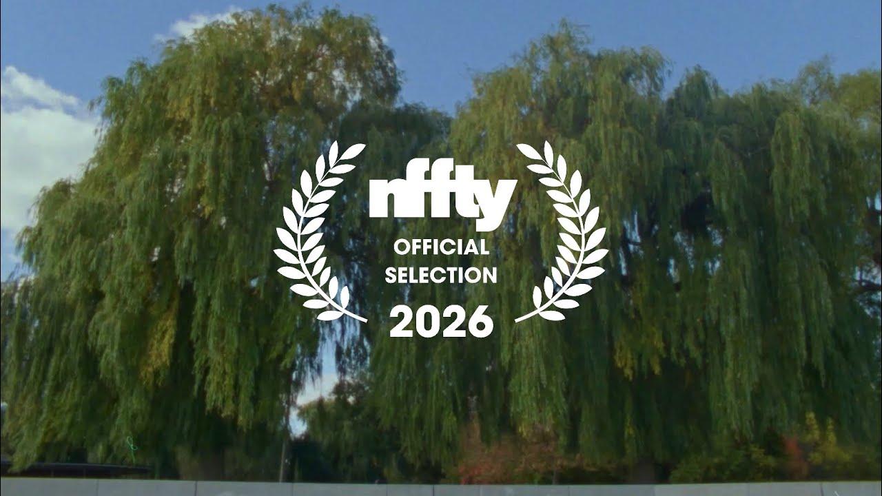 Willow World Trailer