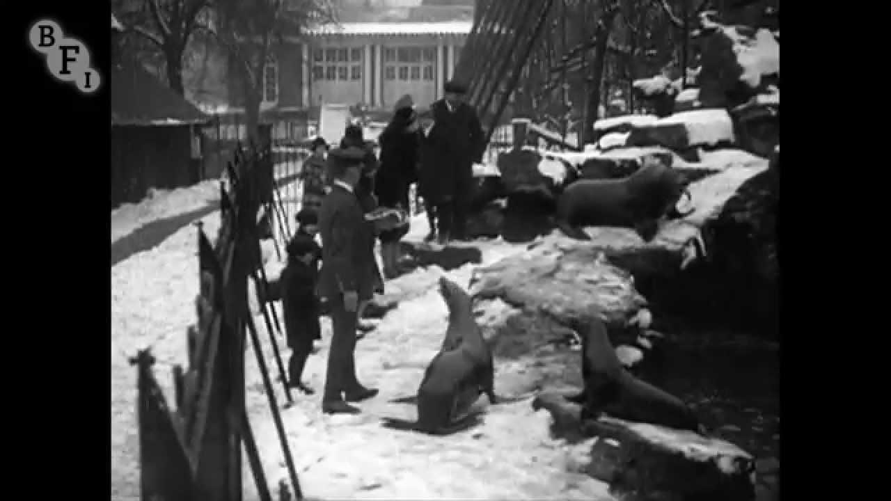 A 'White' Christmas Trailer