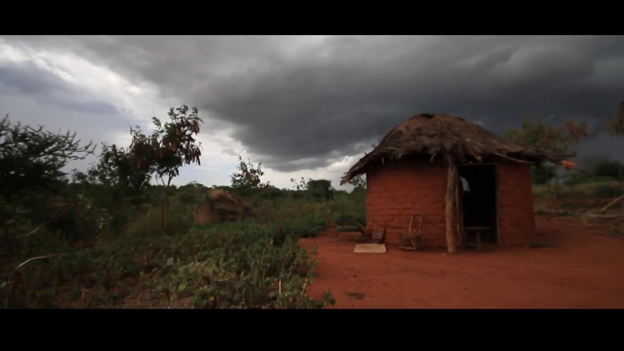 Thank You for the Rain Trailer