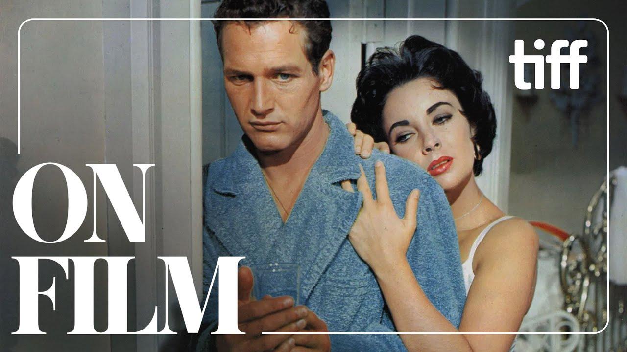 Cat on a Hot Tin Roof Trailer