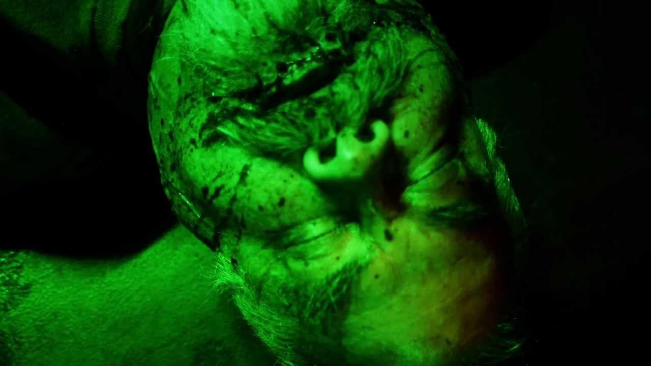 Rockabilly Zombie Weekend Trailer