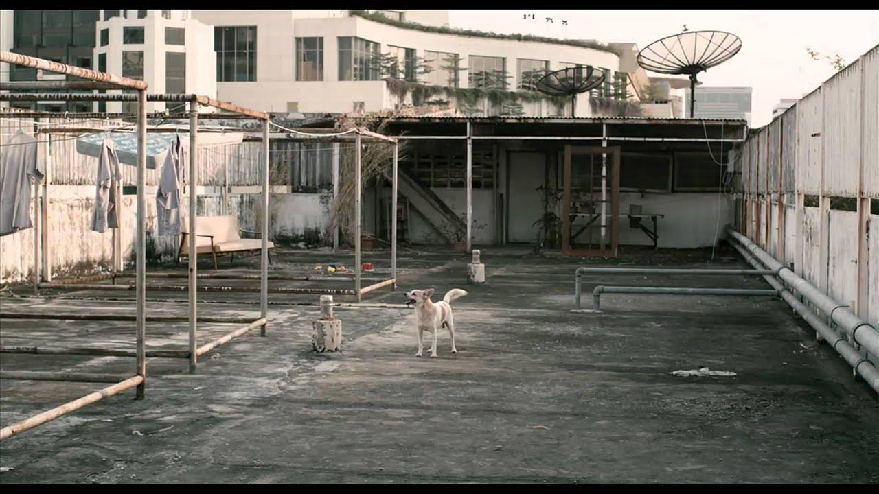 Hi-So Trailer