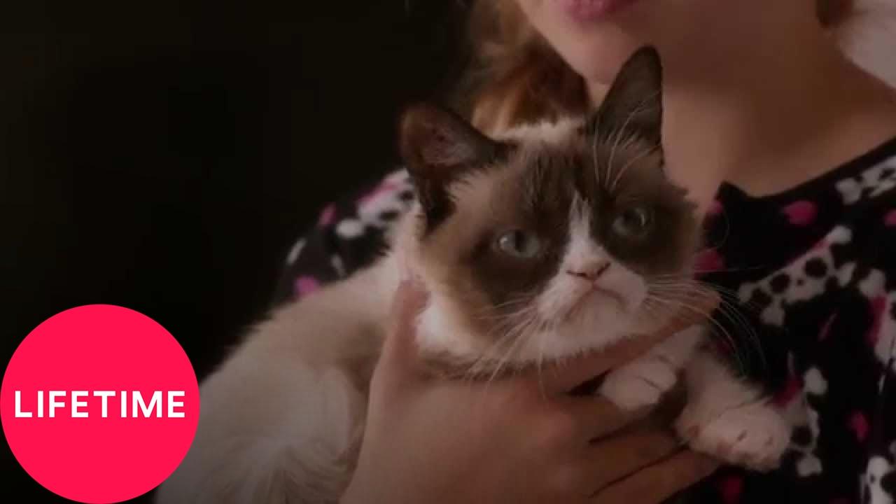 Grumpy Cat's Worst Christmas Ever Trailer