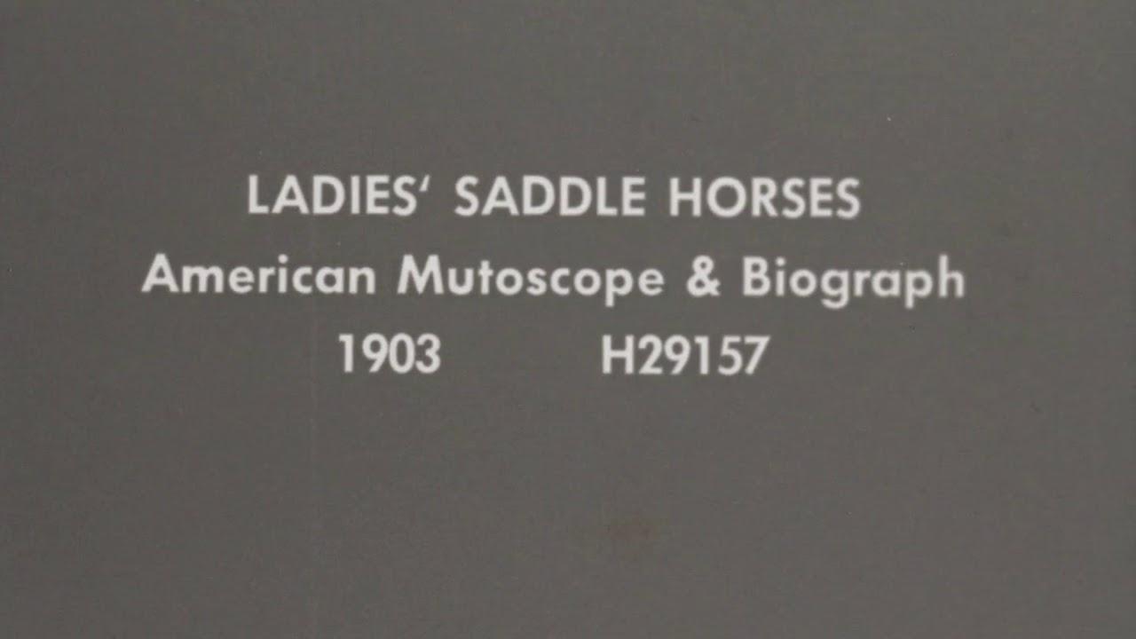 Ladies' Saddle Horses Trailer