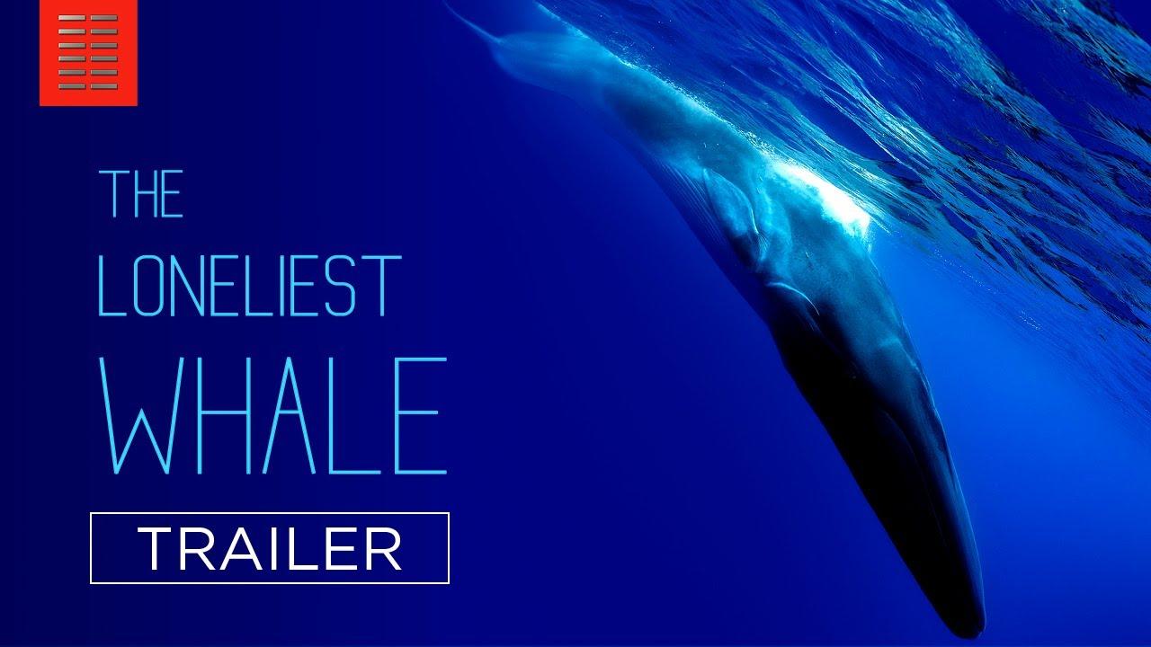The Loneliest Whale: The Search for 52 Trailer