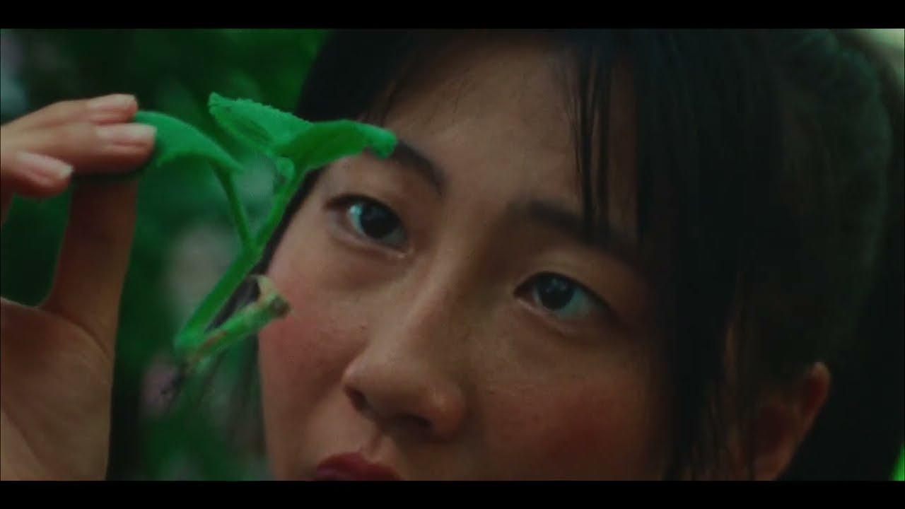 Roots That Reach Toward The Sky Trailer