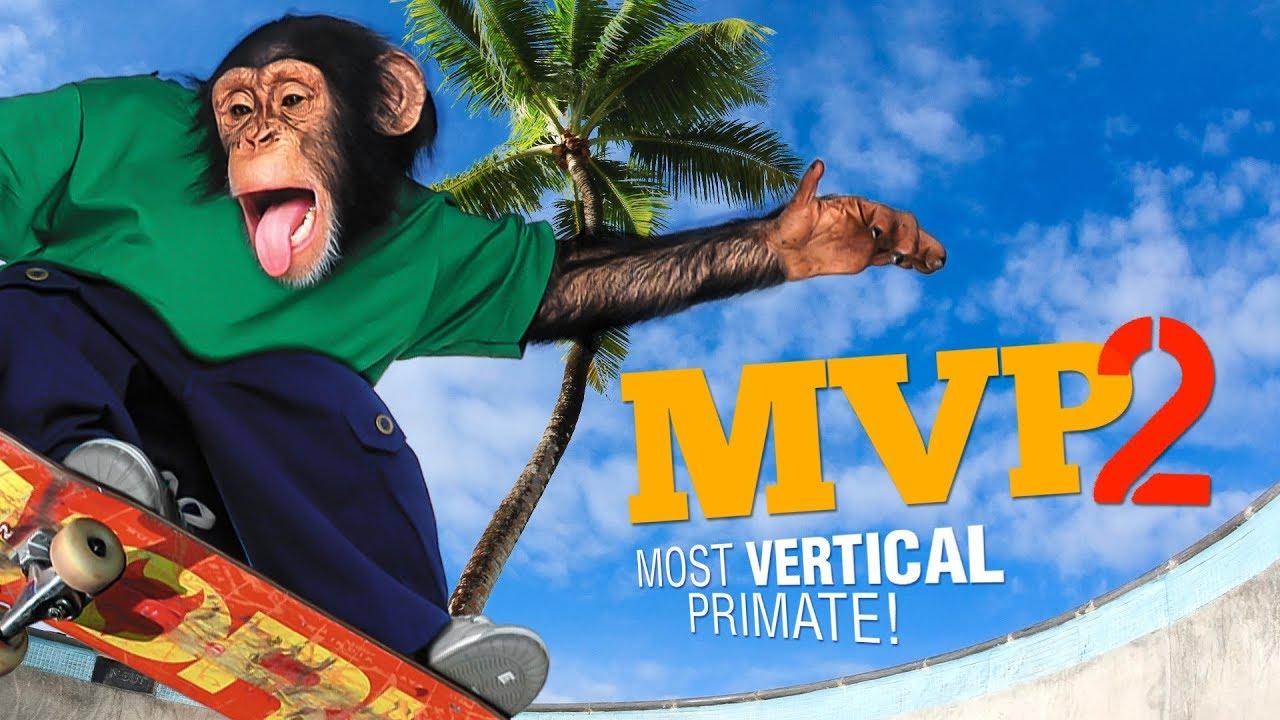 MVP 2: Most Vertical Primate Trailer