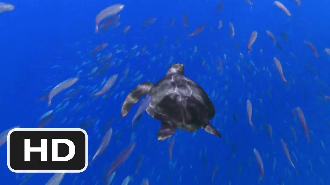 Turtle: The Incredible Journey Trailer