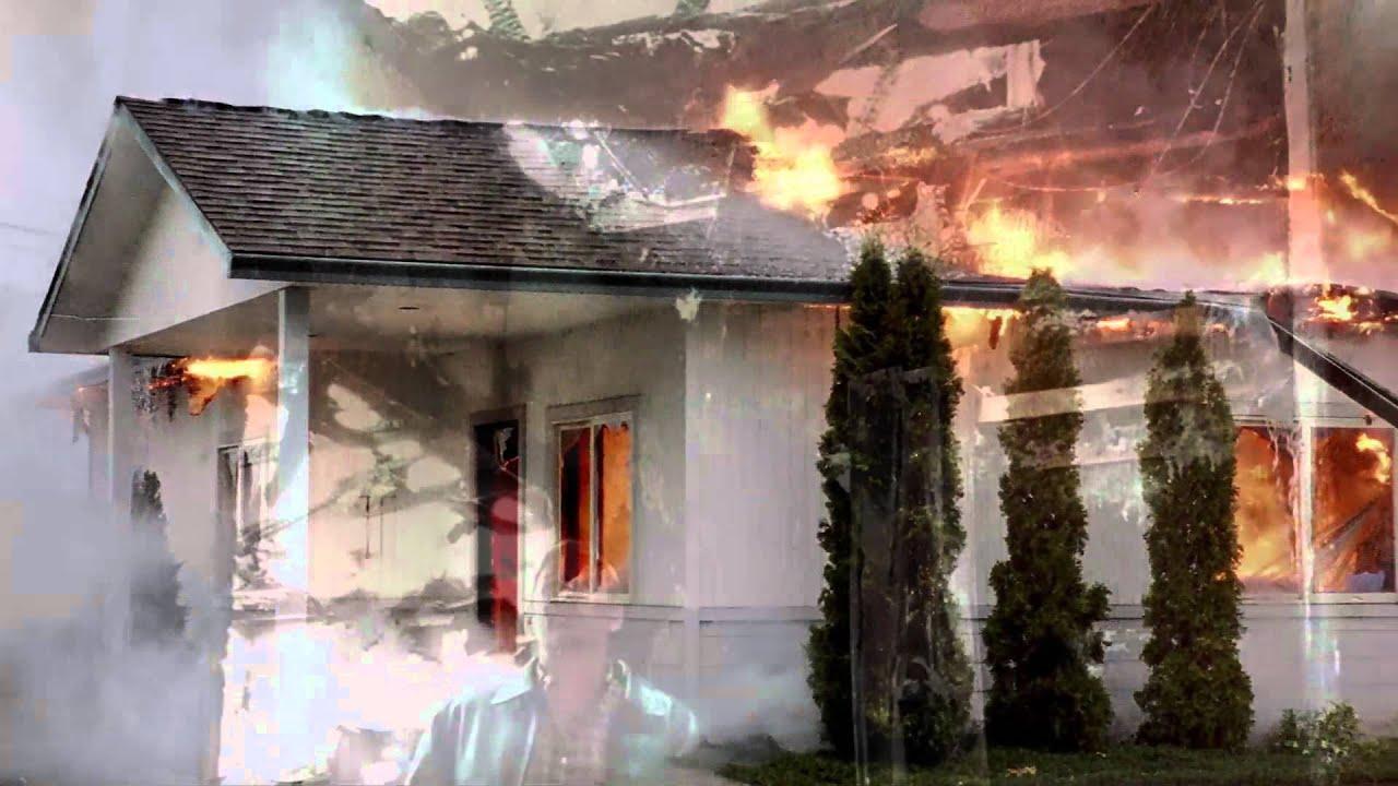 If a Tree Falls: A Story of the Earth Liberation Front Trailer