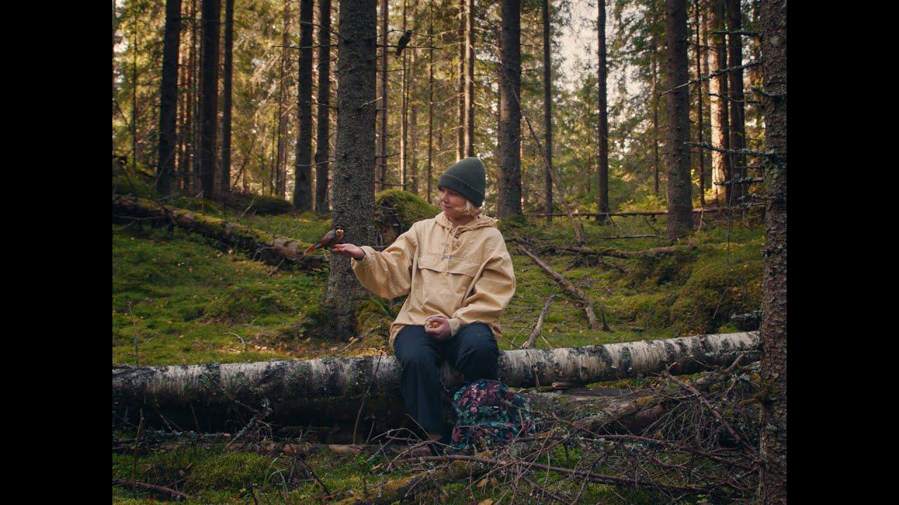 Once Upon a Time in a Forest Trailer