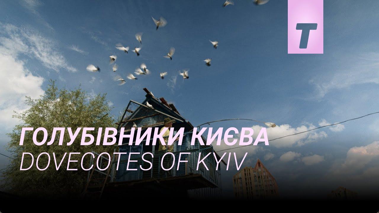 Dovecotes of Kyiv Trailer